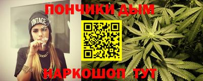 шишки Обь