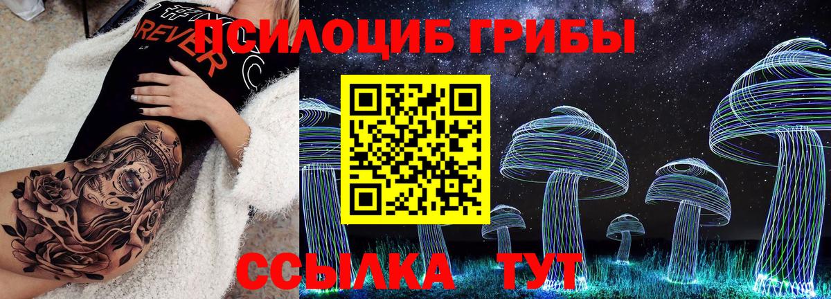 Галлюциногенные грибы Psilocybe Сокол