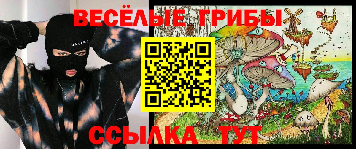 Сокол  Галлюциногенные грибы Cubensis  Вход с VPN  Галлюциногенные грибы мухоморы 
