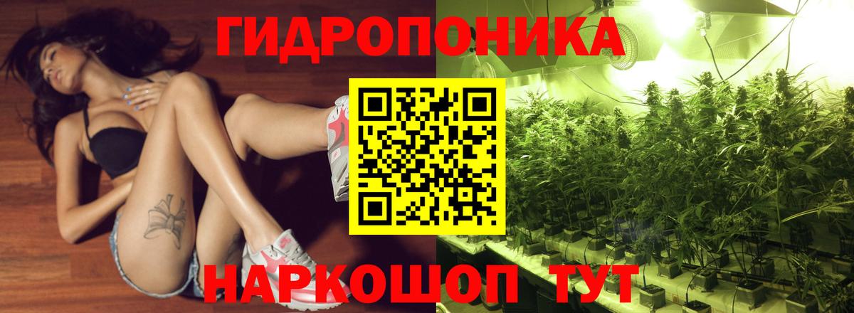 Канабис сатива  Бошки Шишки ГИДРОПОН  Шишки марихуана ГИДРОПОН  Сокол  Вход с VPN 